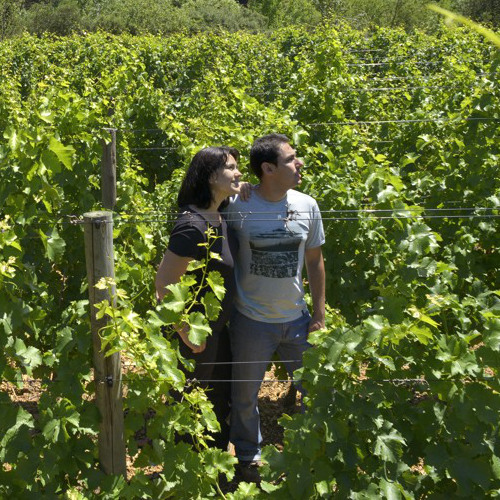 C&OBellet_Clos rivieral3